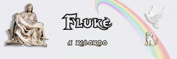 Fluke