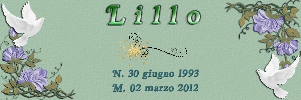 Lillo