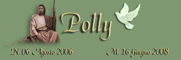 Titolo Polly