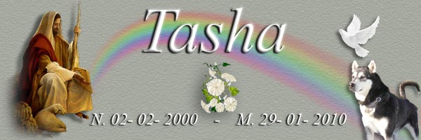 Tasha